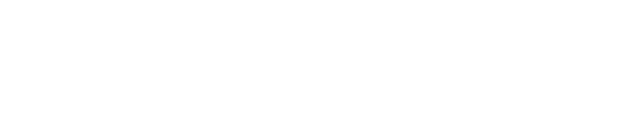 ZEN Logo